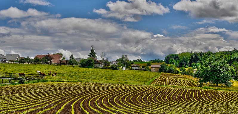 Village de Bellmund s/Bienne, canton de Berne, texture agricole